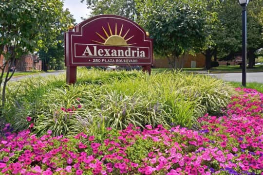 Alexandria Apartments property