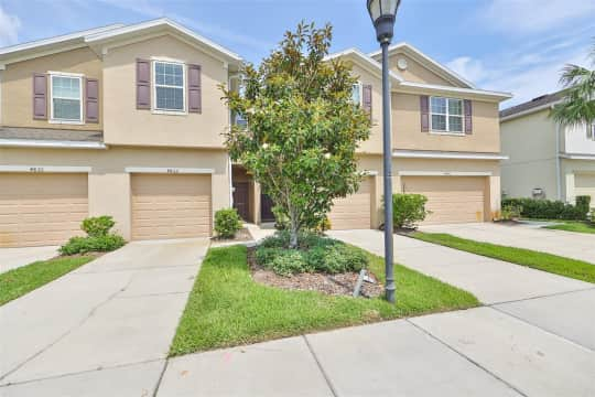 4832 White Sanderling Ct Apartments - Tampa, FL 33619