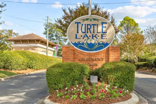 Turtle Lake property