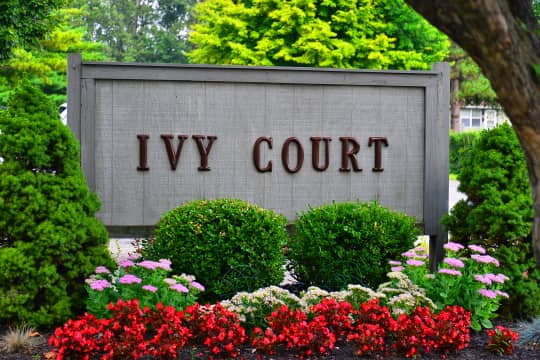 Ivy Court property