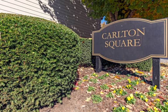 Carlton Square Apartments property