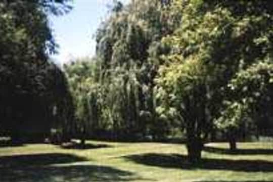 The Willows at GraysLake property
