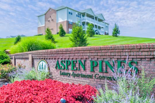 Aspen Pines property