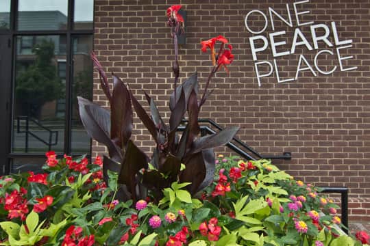 One Pearl Place property