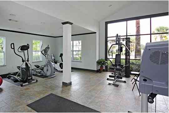 The Palms property