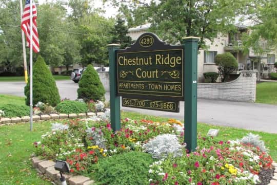 Chestnut Ridge Court property
