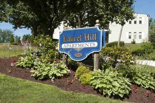 Laurel Hill property