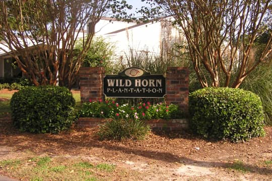 Wild Horn Plantation property