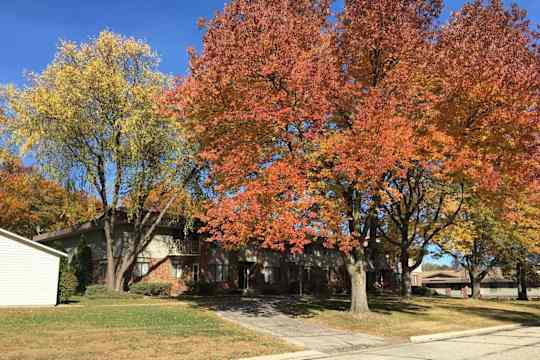 Silver Lake Apartments property