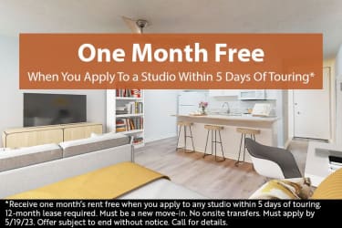 Studio Apartments in Los Angeles, CA For Rent - 767 Studio Apartments | Rent .com®