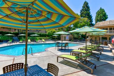 Pool - The Highlander - Sunnyvale, CA