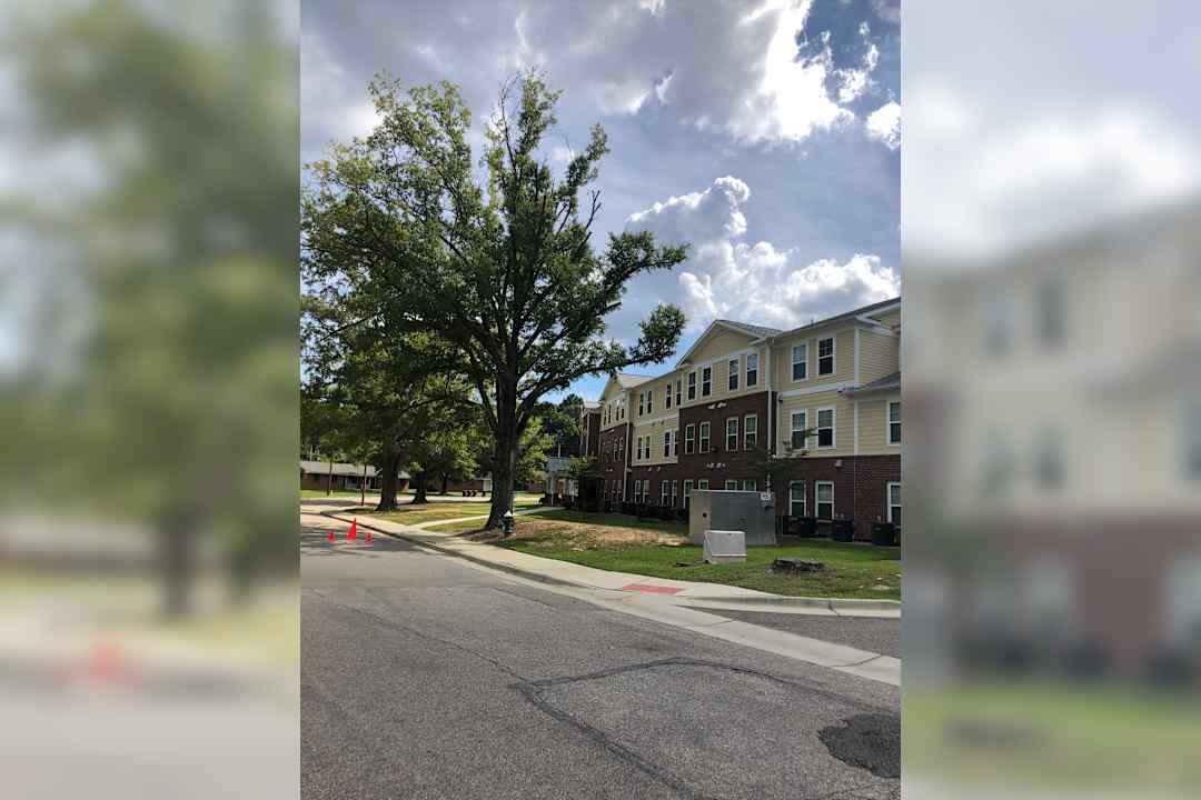 Pinnacle Point Green Apartments - Wilson Nc 27893