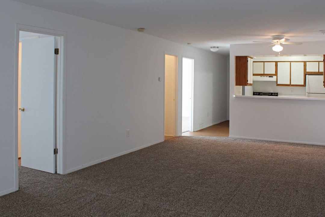 harbor cove apartments and beach club whitmore lake mi 48189