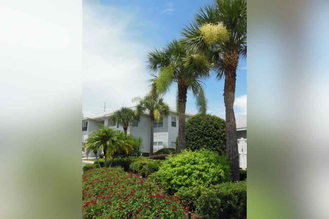 Fountain Place Apartments - Bartow Fl 33830