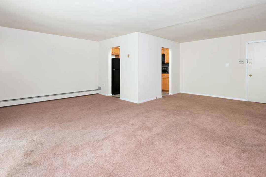 basement for rent in stoney creek