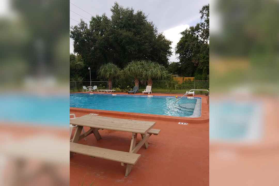 beltrees plaza apartments dunedin fl 34698