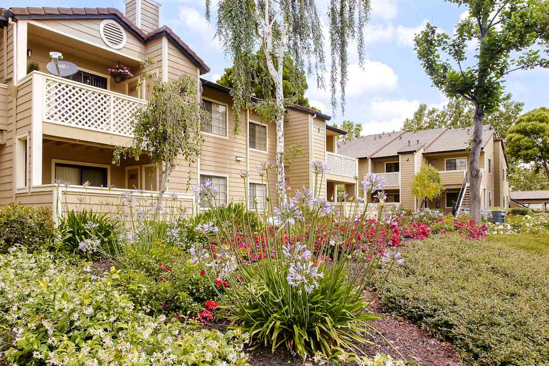 Amberwood Apartments 1543 Ambergrove Dr San Jose Ca Apartments For Rent Rent Com