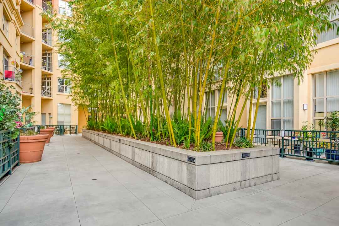 1010 pacific apartments santa cruz ca 95060