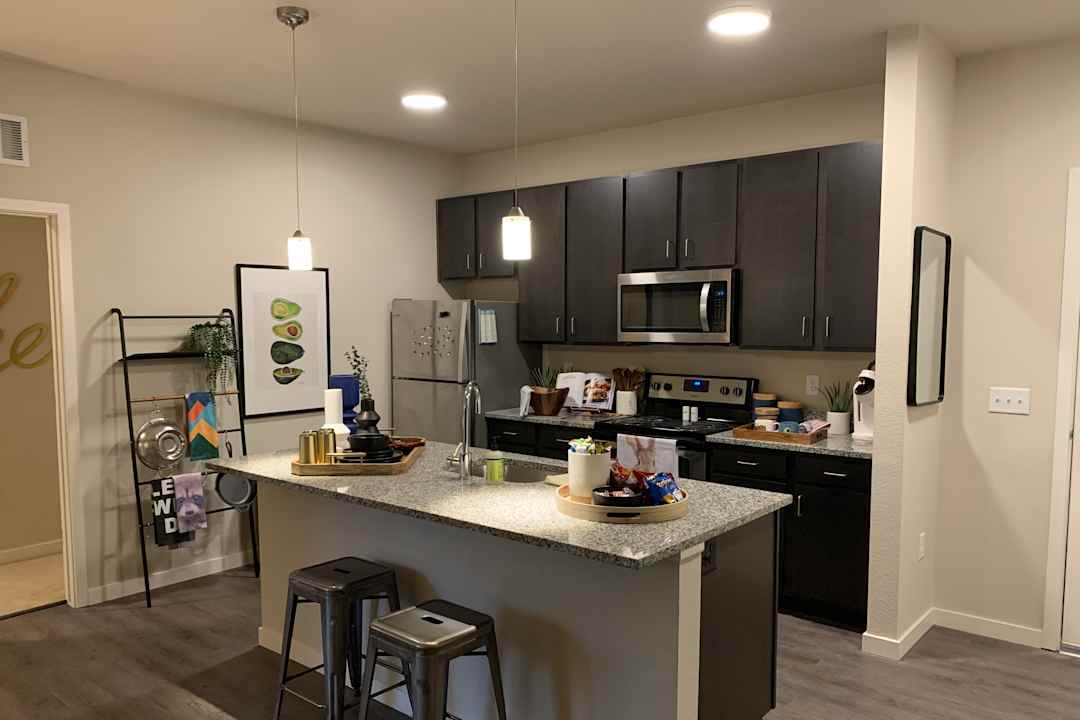 stadium apartments per bed lease fort collins co 80521