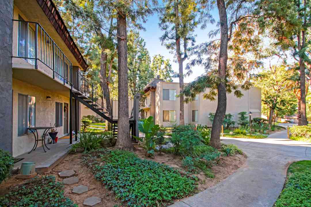 Los Arboles 950 Pine Ave Redlands Ca Apartments For Rent Rent Com