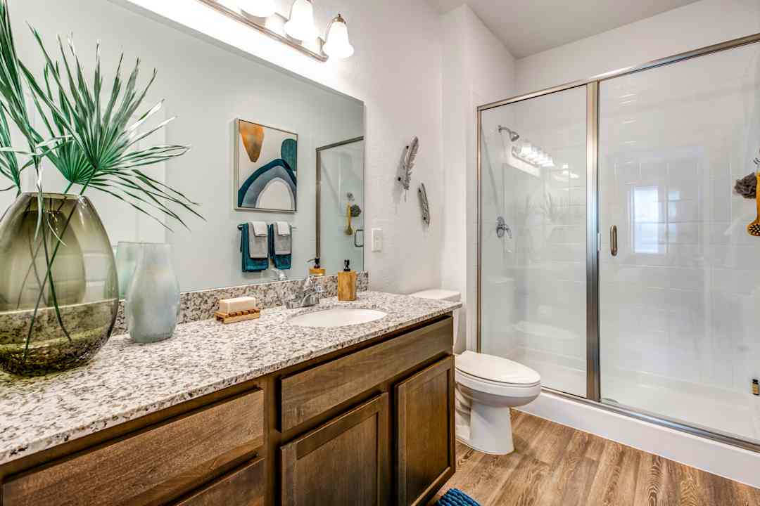 affinity 6101 innovation way tampa fl apartments for rent rent com