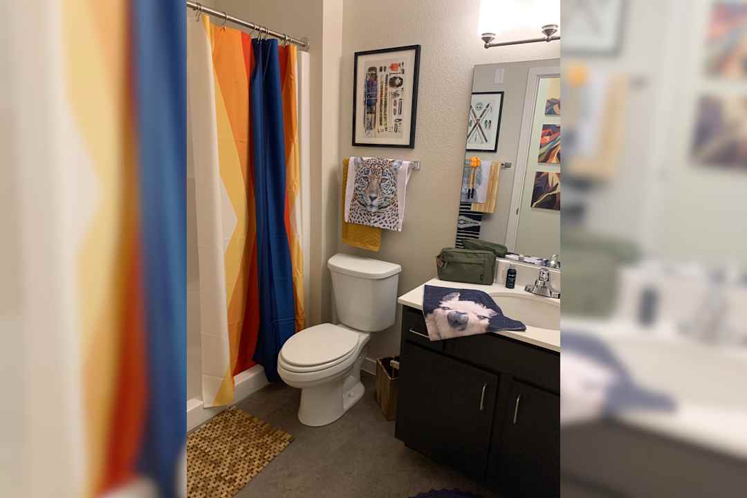 stadium apartments per bed lease fort collins co 80521