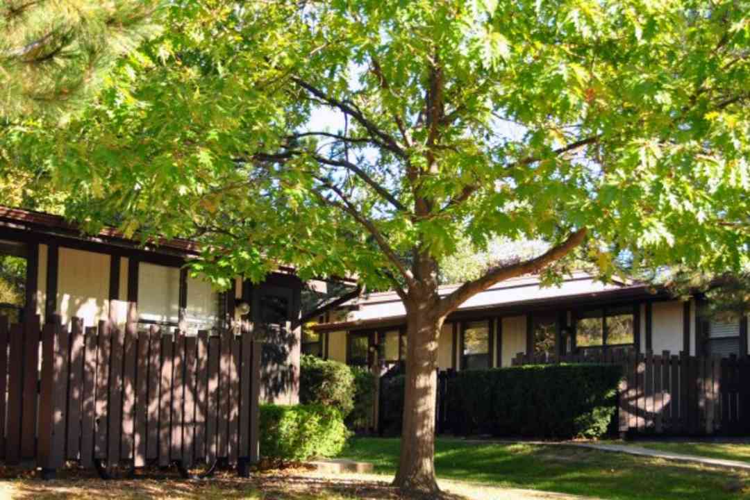 Limewood Apartments Battle Creek Mi 49017