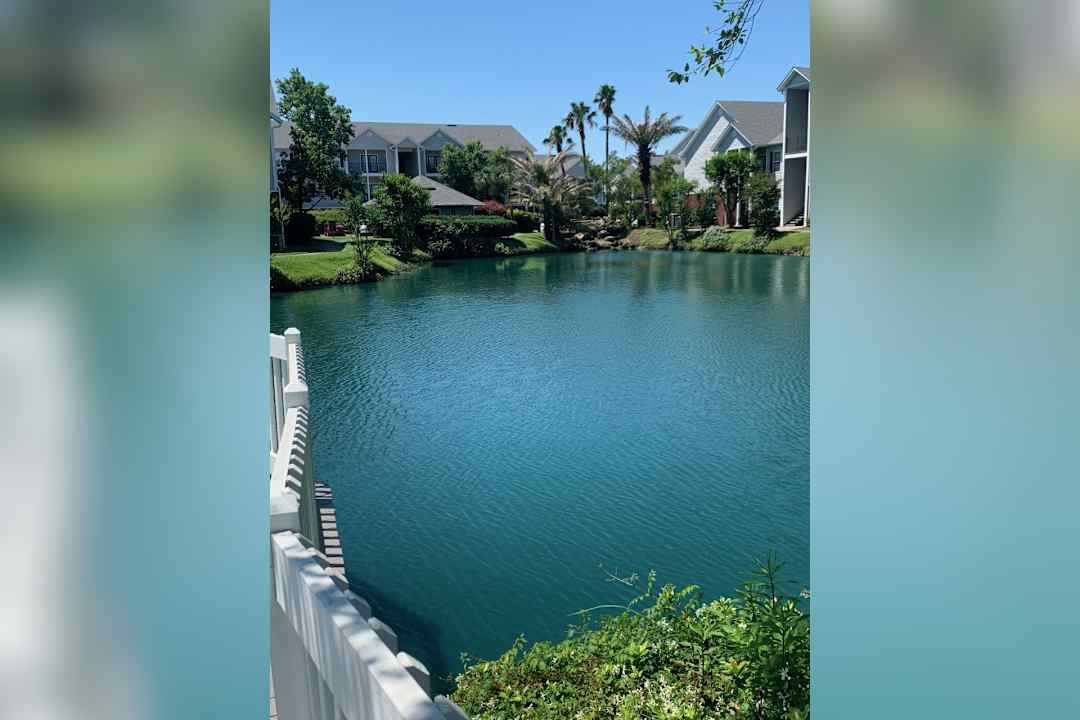 Arbor View D Iberville 10480 Auto Mall Pkwy D Iberville Ms Apartments For Rent Rent Com