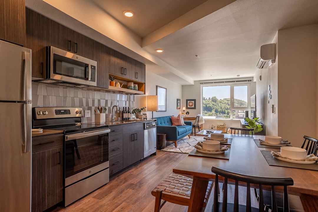beam 1029 s jackson st seattle wa apartments for rent rent com