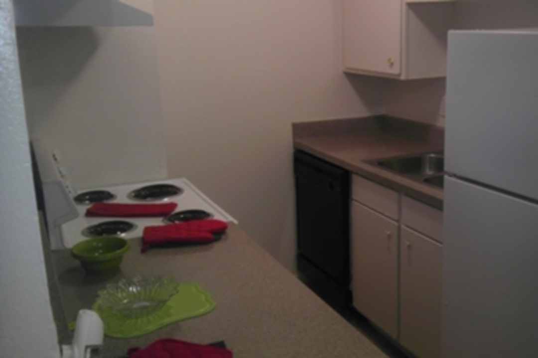 rio vista apartments haltom city