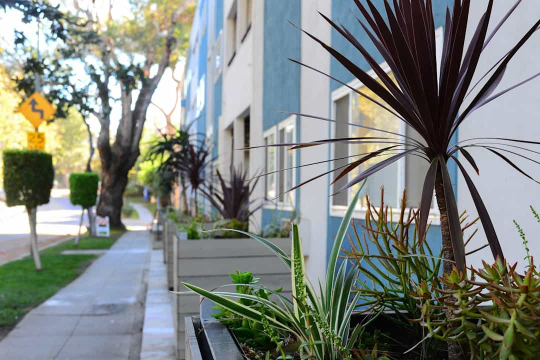 Axiom Westwood 415 Gayley Ave Los Angeles Ca Apartments For Rent Rent Com