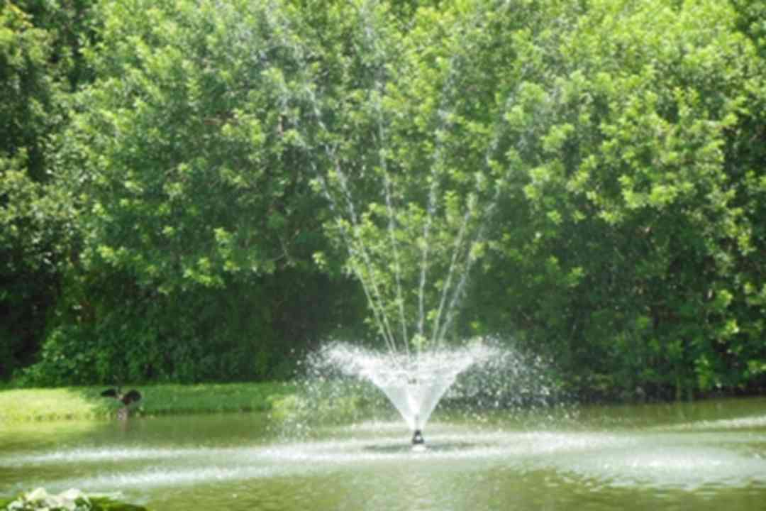 Fountain Place Apartments - Bartow Fl 33830