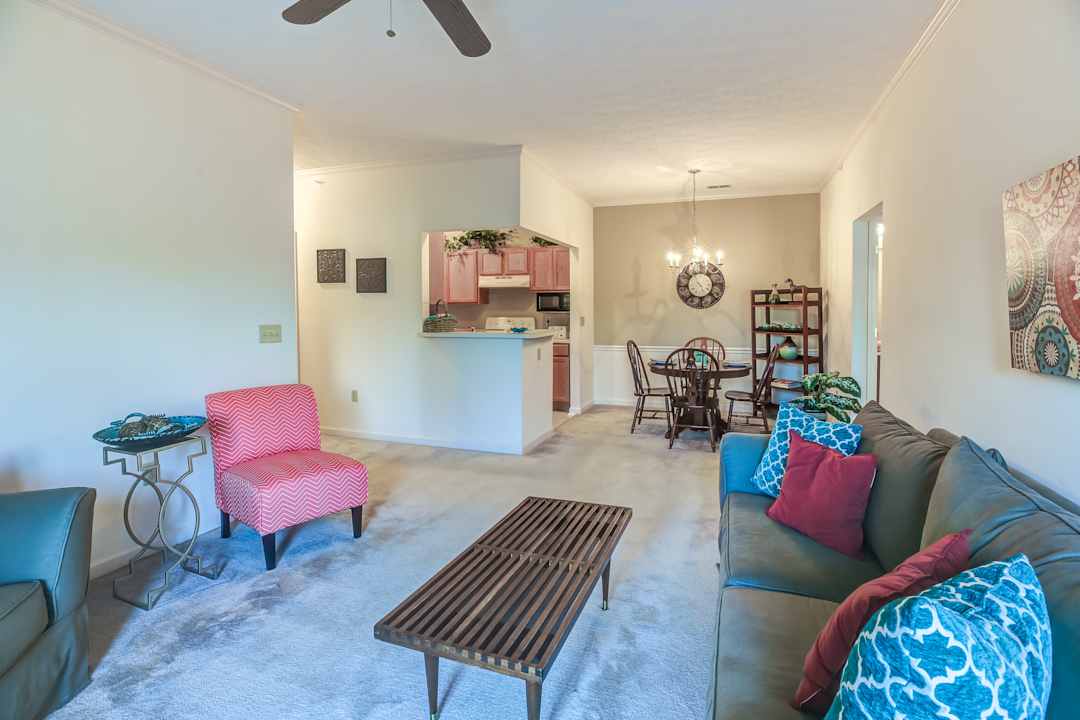 apartments for rent in georgetown ky