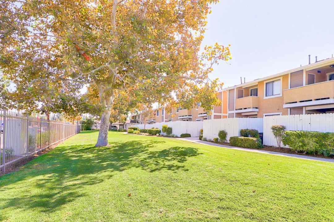 Cerro Vista Apartments 7450 Wells Ave Riverside Ca Apartments For Rent Rent Com