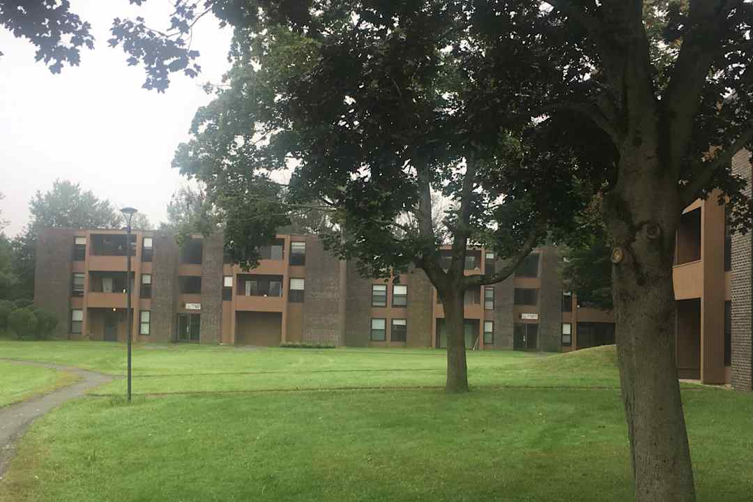 brandywine apartments amherst ma 01002