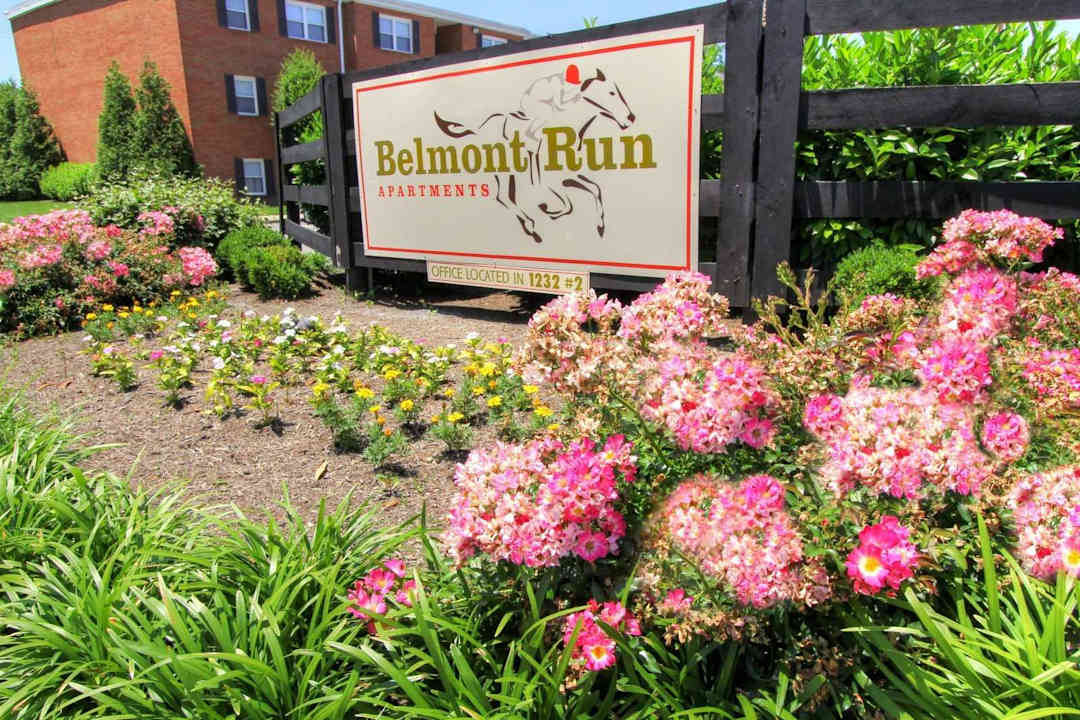 belmont run and the studios at belmont apartments lexington ky 40504