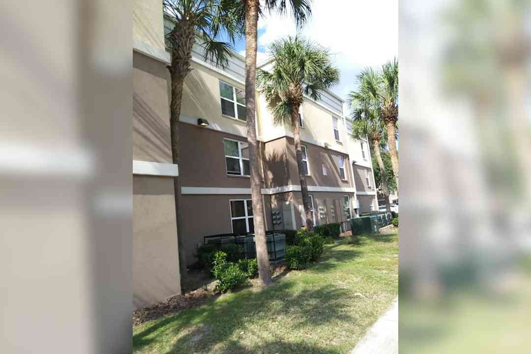 the oaks apartments tampa