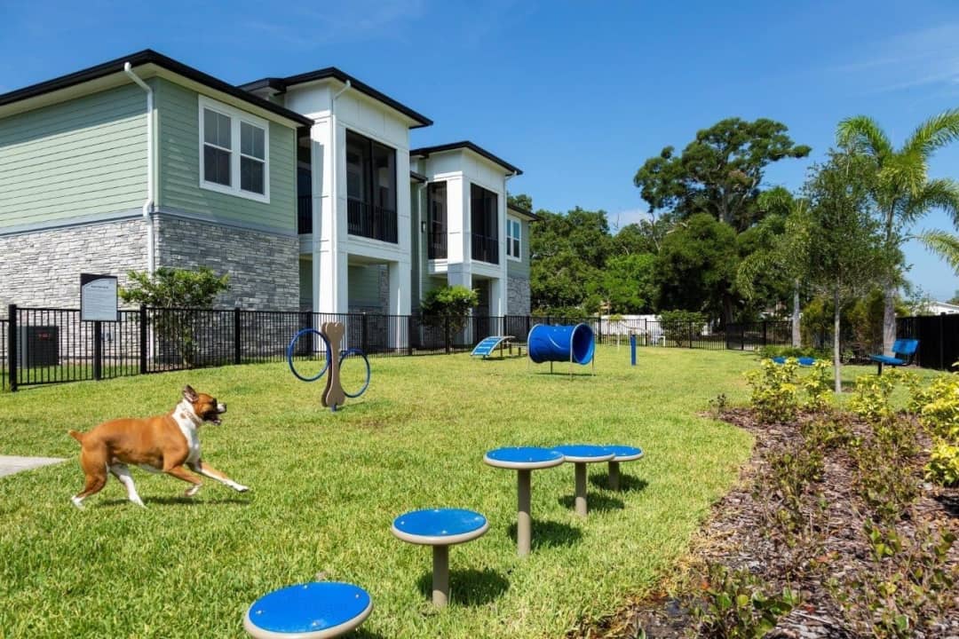 The Addison On Long Bayou Apartments, Sd Landscaping Seminole Fl