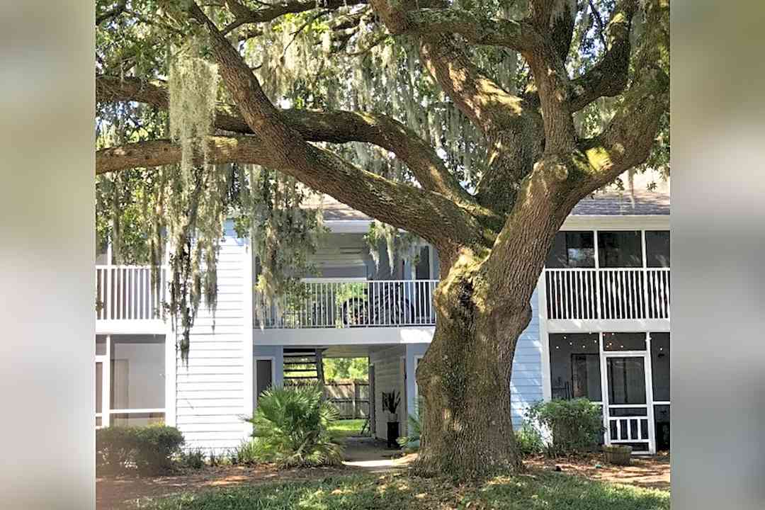 mount pleasant sc apartments