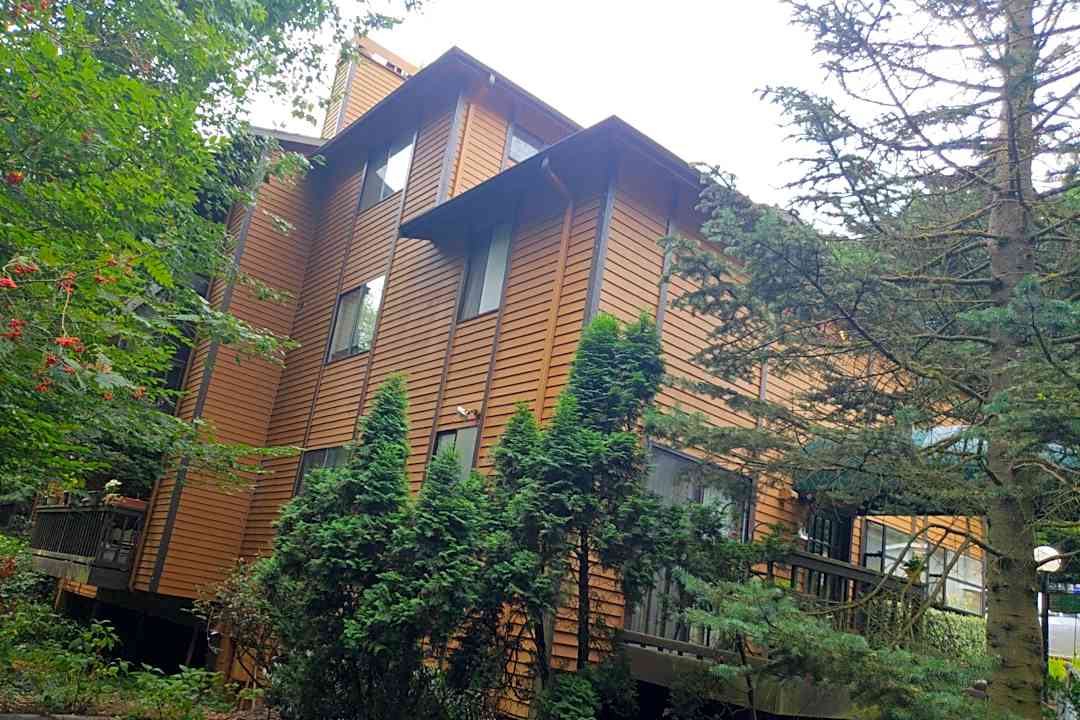 Forest Creek Apartments - 19708 15th Ave Ne Seattle Wa Apartments For Rent Rentcom