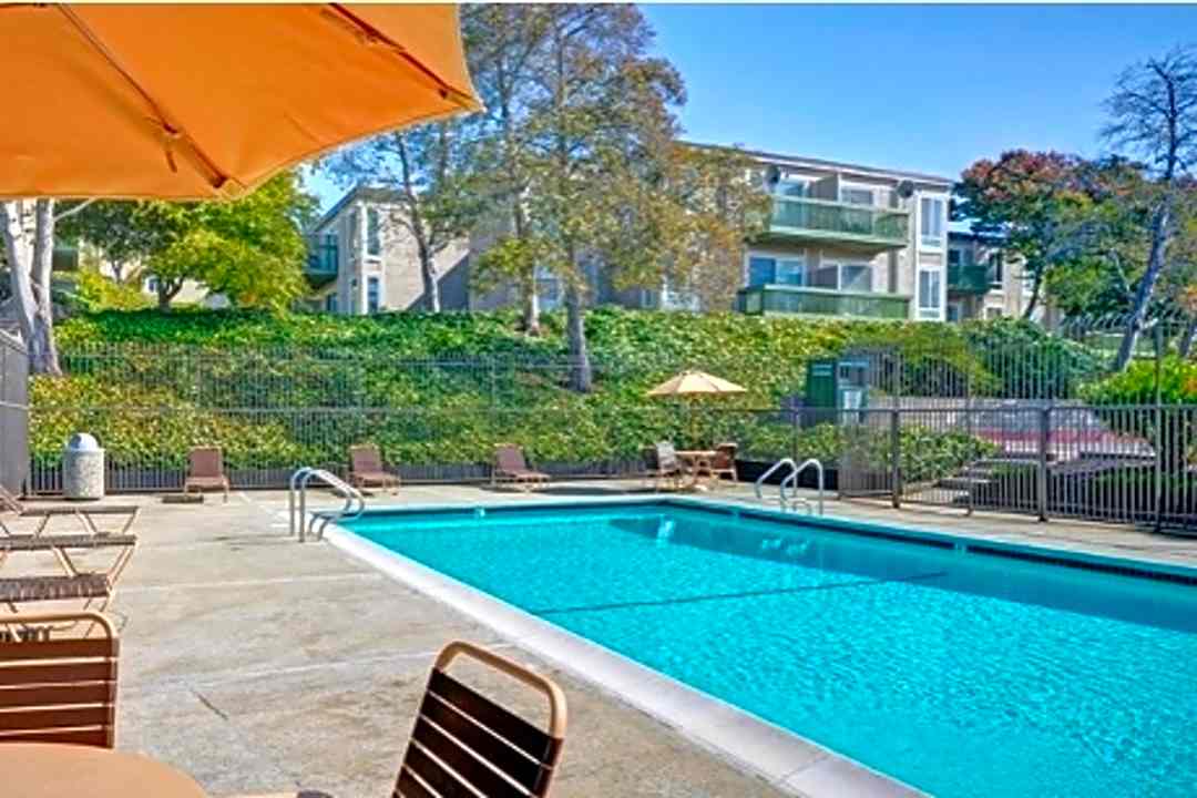 Baycliff Apartments 2300 Lancaster Drive Richmond Ca Apartments For Rent Rent Com