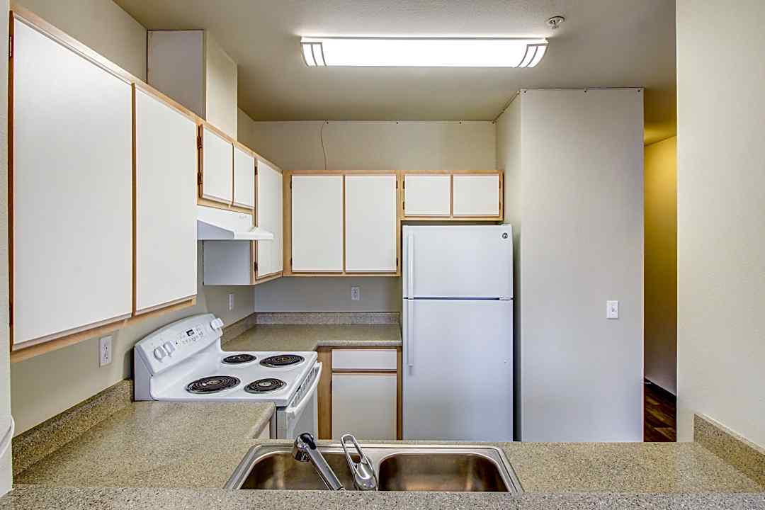 Allegro 4115 Roosevelt Way Ne Seattle Wa Apartments For Rent Rent Com