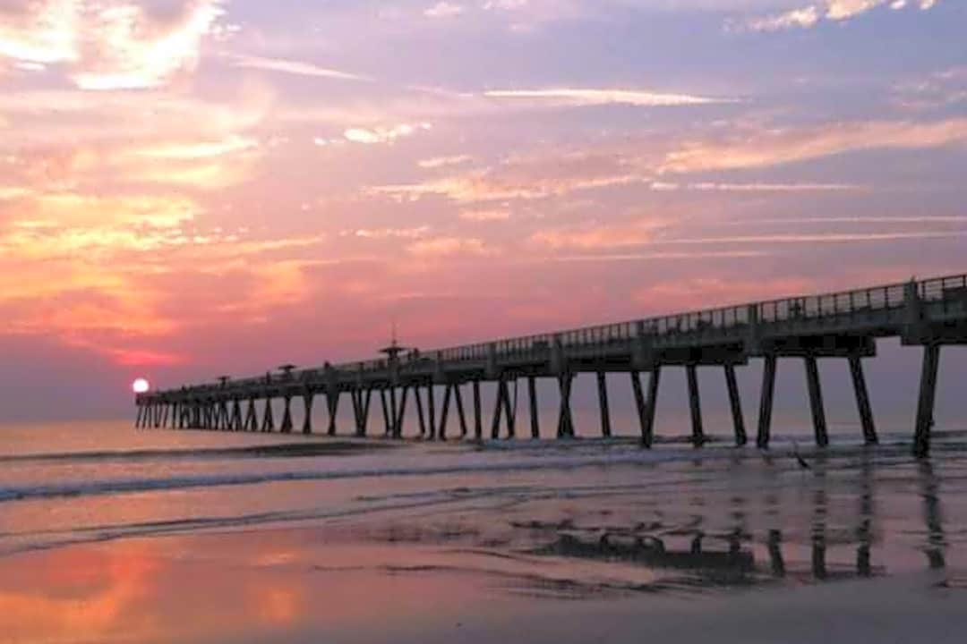 are dogs allowed on jacksonville beach