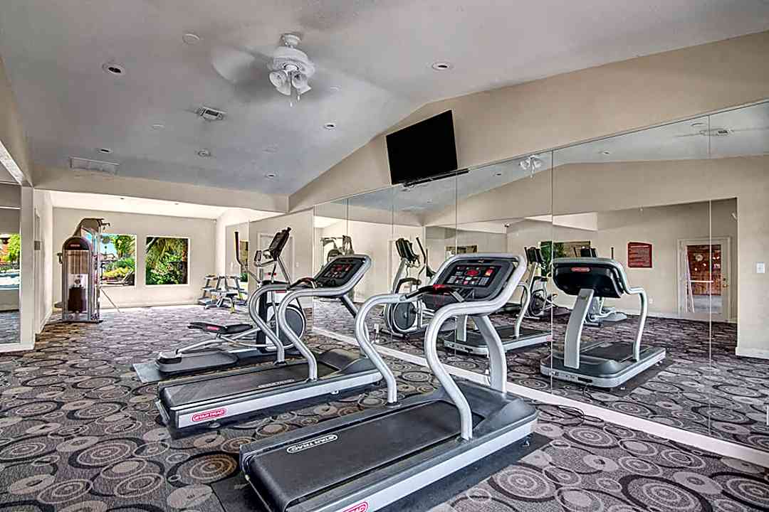 Accolade 220 W Bell Rd Phoenix Az Apartments For Rent Rent Com