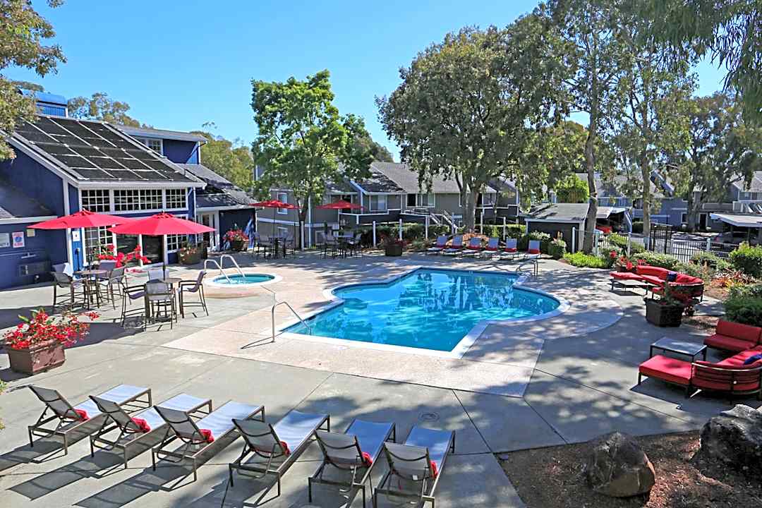 Bay Village Apartments 1107 Porter St Vallejo Ca Apartments For Rent Rent Com