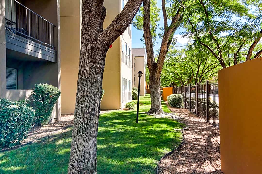 Alvarado 611 Lead Ave Sw Albuquerque Nm Apartments For Rent Rent Com