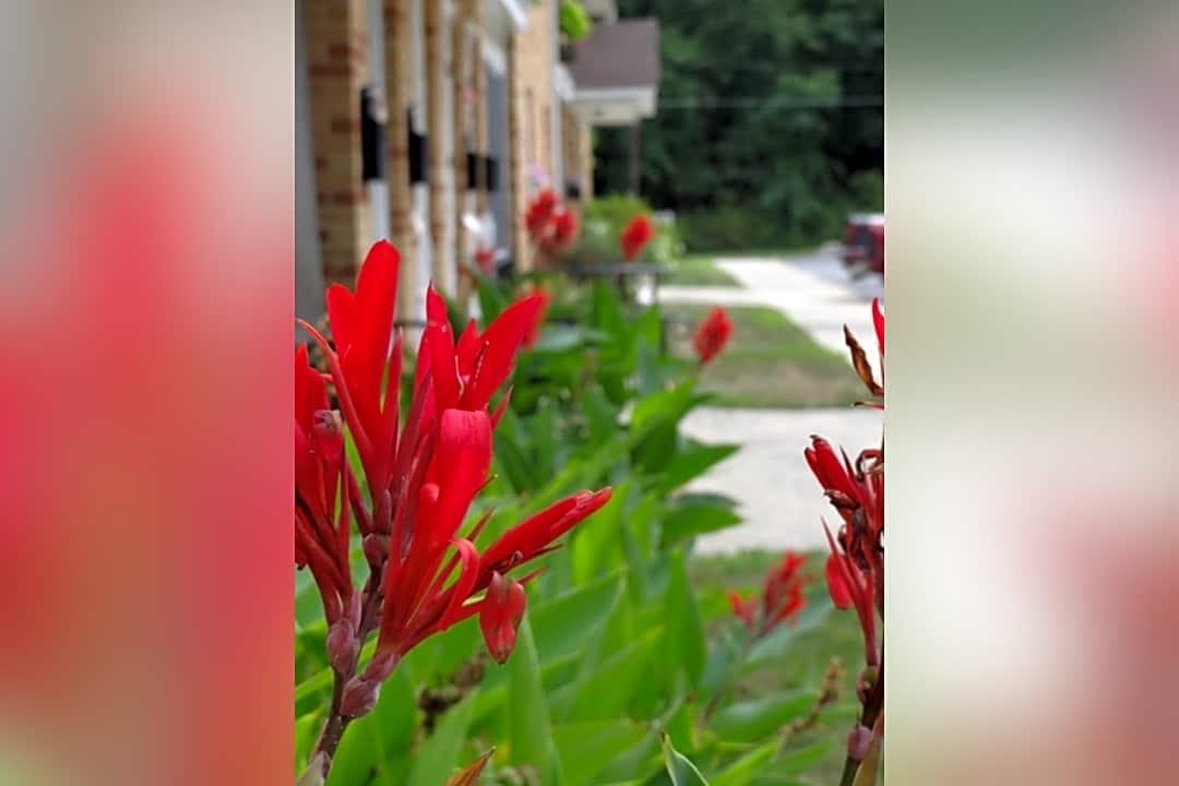 Green Valley 200 Grant Ave Somerdale Nj Apartments For Rent Rent Com