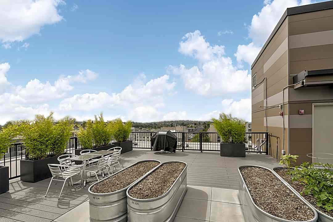 The Aj 4505 42nd Avenue Sw Seattle Wa Apartments For Rent Rent Com