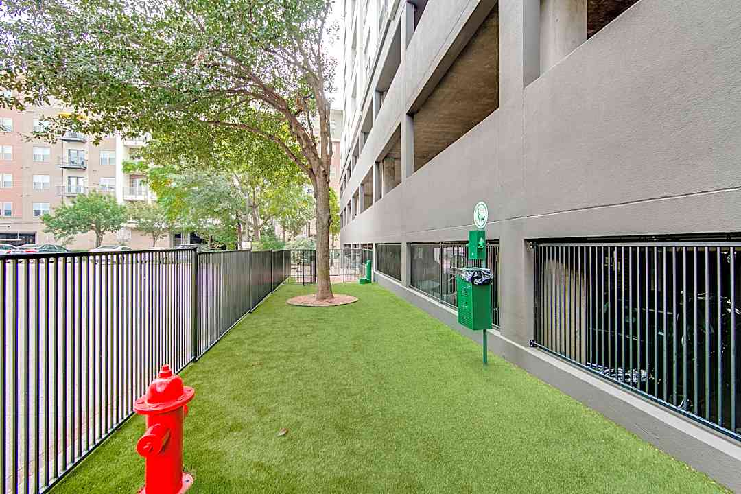 Mckinney Uptown 3324 Mckinney Ave Dallas Tx Apartments For Rent Rent Com