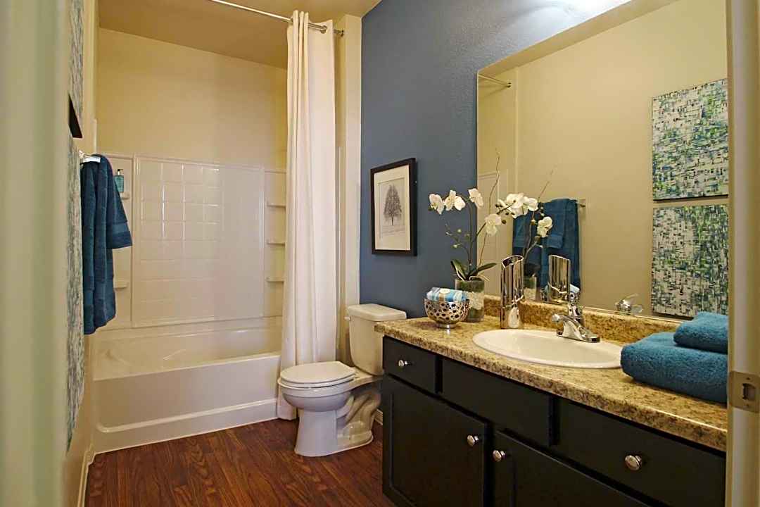 chandler 6767 windmill lane las vegas nv apartments for rent rent com